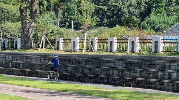 시골 마을 운동장에서 경험을 끄집어내어 트레킹 전 열심히 연습했다. /사진=송미옥