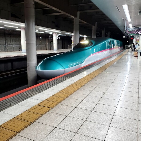 도호쿠 신칸센 '하야부사 101호'. 이름은 '매'인데 얼굴은 돌고래를 닮지 않았나? /사진=양은심