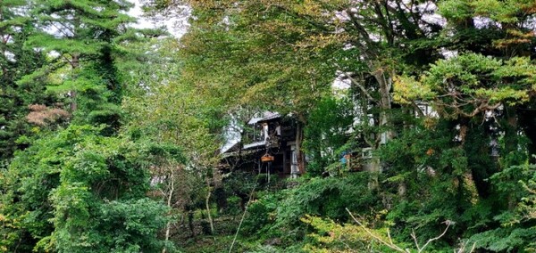 가게 주인이 바구니를 당기고 있다. 겐비케이 계곡의 '하늘을 나는 당고'. 잊지 못할 여행지가 되었다. /사진=양은심