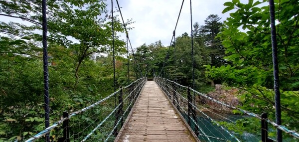 계곡에 걸려 있는 다리. 그다지 높지도 않건만 나는 엉덩이를 빼고 조심조심 건넜다. /사진=양은심