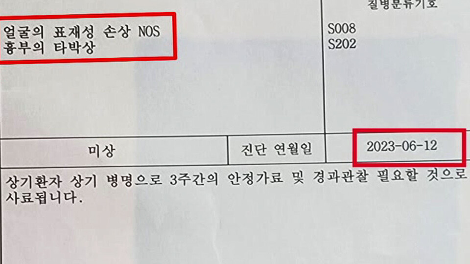 한 요양원에 근무하는 요양보호사가 입소자에게 폭행당해 흉부 타박상을 입었다는 내용의 진단서. /독자 제보