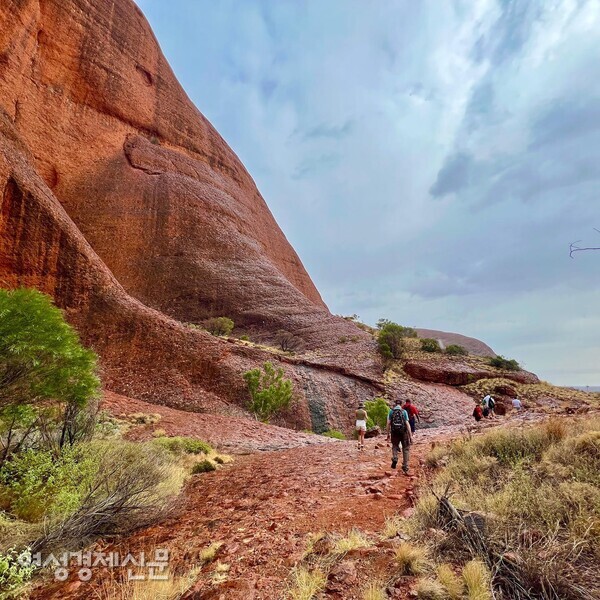 카타추타 트레킹 코스 중 바람의 계곡. 미야자키 하야오는 여기서 영감을 받아 '바람의 계곡 나우시카'를 만들었다고 한다. /사진=박재희