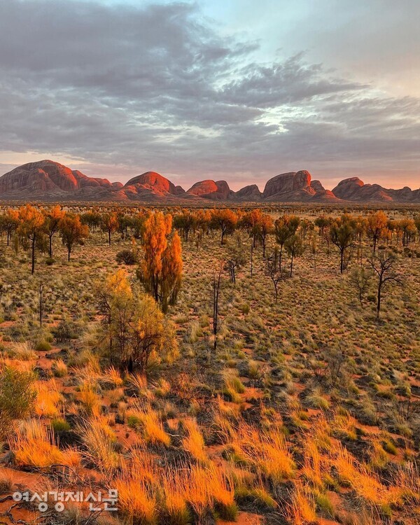 카타추타, 원주민 말로 '많은 머리'를 뜻한다는 바위산군을 비추며 해가 떠오른다. /사진=박재희