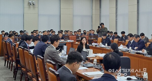13일 오전 국회 행정안전위원회의 중앙선거관리위원회 국정감사에서 의원들이 의사진행 발언을 하고 있다. /이상무 기자
