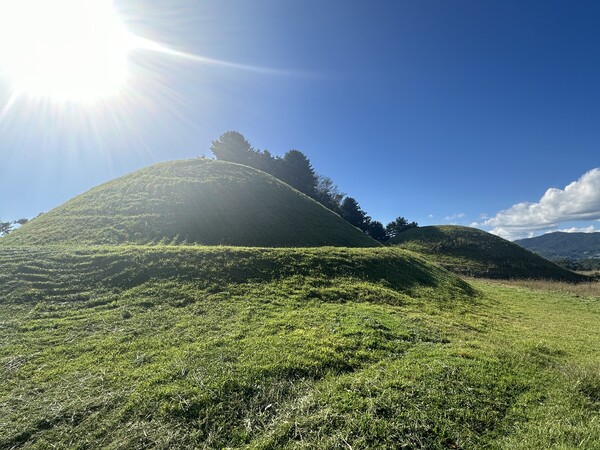 유네스코 문화로 지정된 가야 고분군 가운데 유곡리 소재 고분, 제왕급 유물이 출토되었다. /사진=박재희