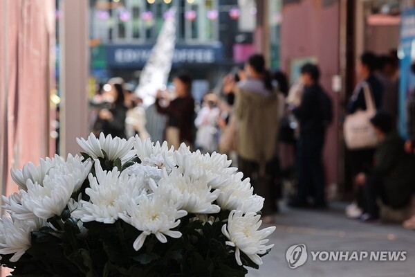 29일 오후 서울 용산구 이태원 참사 현장에 마련된 '10·29 기억과 안전의 길'의 추모 공간에 국화꽃이 놓여있다. /연합뉴스