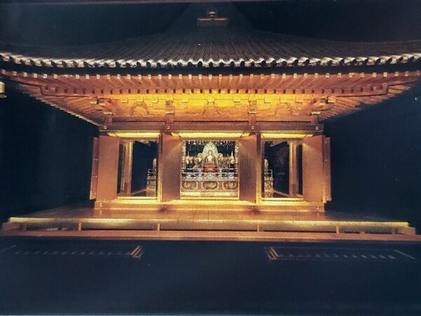 팸플릿에 실려 있는 곤지키도 사진이다. /사진=양은심