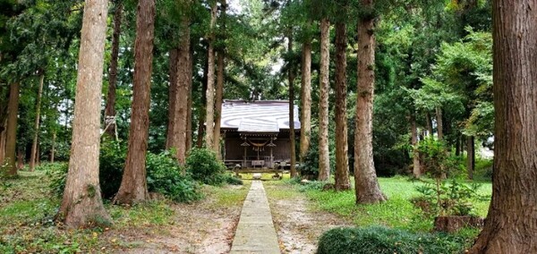 고요하게 자리하고 있는 동네 신사 /사진=양은심