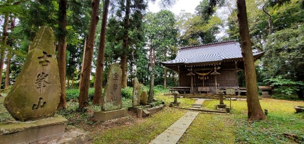 내가 이곳을 산책하는 동안 아무도 들어오지 않았다. 그러나 절대 방치된 곳은 아니다. /사진=양은심