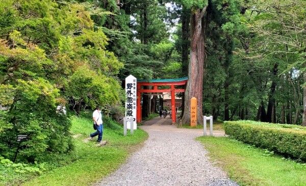 도리이를 바라보며 지나친 하쿠산 신사(白山神社) /사진=양은심