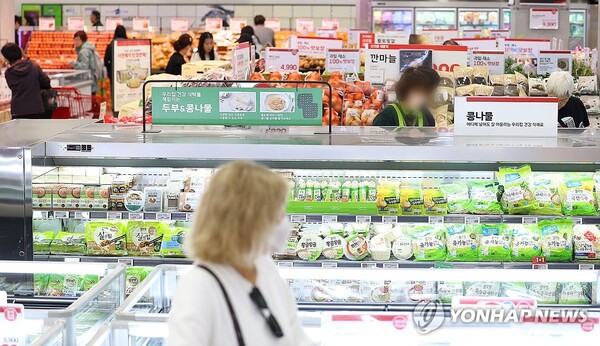 서울 시내의 한 대형할인점 모습 /연합뉴스