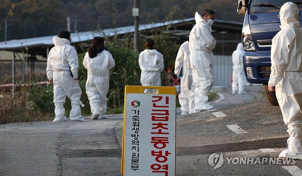 14일 오후 방역 당국 관계자들이 럼피스킨이 발생한 경북 김천의 한 한우 농장에서 방역 작업을 하고 있다. /연합뉴스
