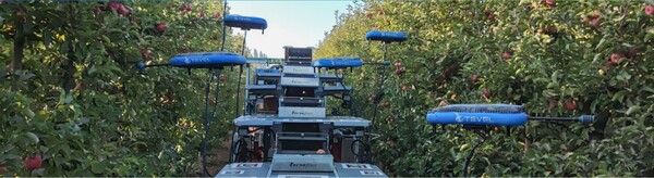 드론이 사과를 수확하고 있다. 이스라엘 벤처기업 테벨이 개발한 사과 수확 자율로봇 /테벨사 홈페이지