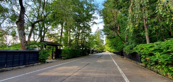 울창한 나무와 검은색 울타리가 먼저 눈에 들어오는 마을 '무사 저택 거리' 가쿠노다테. /사진=양은심