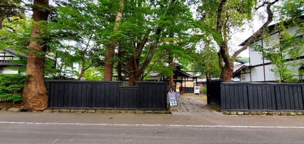 나무들이 울창해서 마치 숲속 마을에라도 들어온 기분이 들었다. /사진=양은심