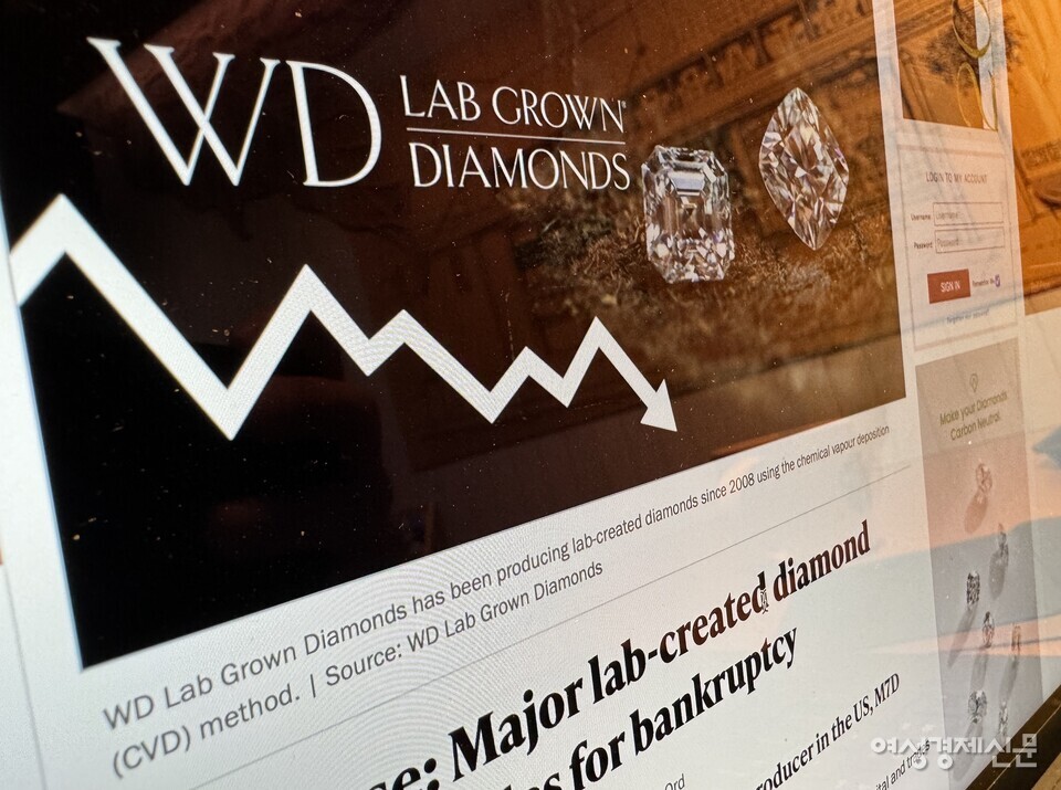 미국 한 언론사에 보도된 WD 랩그로운 다이아몬즈 파산 소식 /김현우 기자