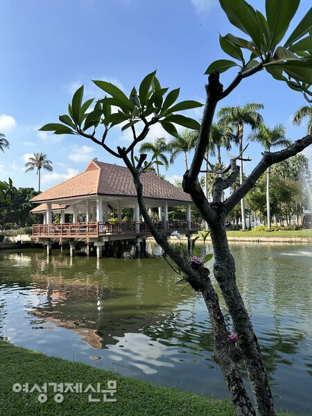 아침마다 무료 요가 교실이 열리는 농부악 공원 /사진=박재희