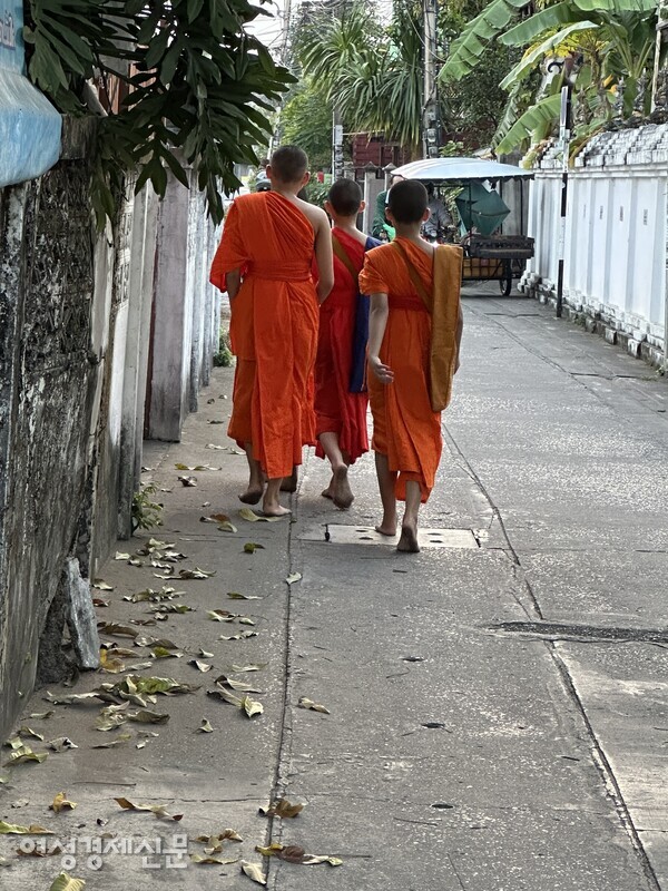 오전 탁발에 나선 승려들 /사진=박재희