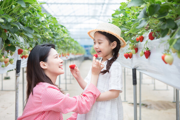 관광농원은 영농을 하면서 방문객을 위한 편의시설과 관광시설을 설치하여 농촌관광업을 제대로 운영할 수 있도록 뒷받침해 주는 사업이다. 그런데 영농이 빠지고 숙박, 식당, 캠핑장, 체육시설만 운영하므로 제도를 악용한 실패 사례가 된다. /게티이미지뱅크