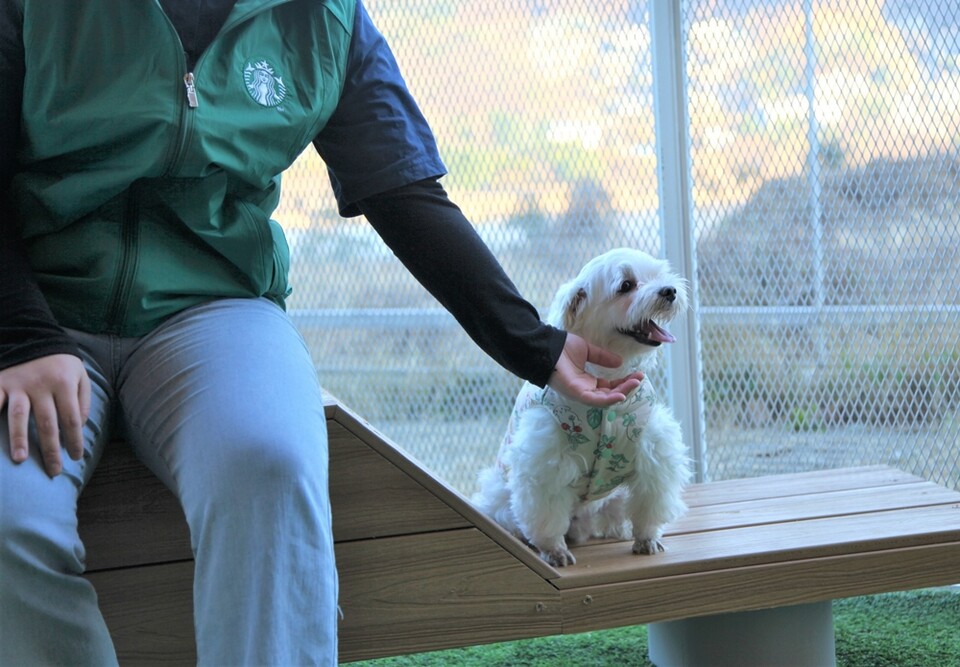 지난 11월 리뉴얼 오픈한 스타벅스 더북한강R점 /스타벅스코리아