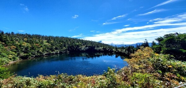 겨울에서 봄까지 연못이 얼어서 용눈(하치만타이 드래건 아이/八幡平ドラゴンアイ)처럼 보인다는 곳이다. 서양 관광객이 우연히 발견한 후 명소가 되었단다. 드래건 아이도 언젠가 한 번쯤은 보고 싶다. /사진=양은심
