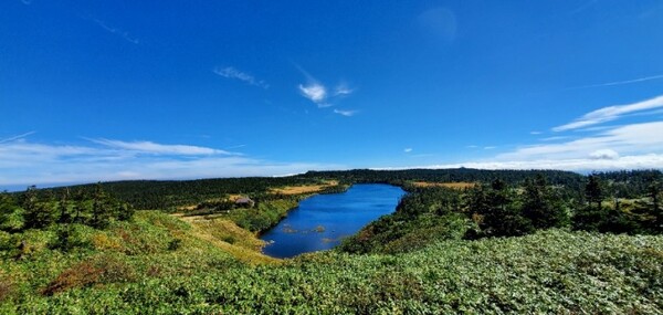 내가 걷지 않은 코스에 있는 하늘 색보다 더 푸르렀던 연못. /사진=양은심