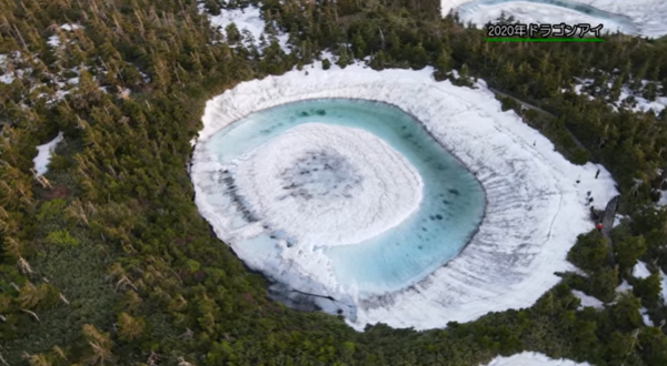하치만타이 리조트 '드래론 아이 관찰일기' 캡처. 2020년의 모습이다.