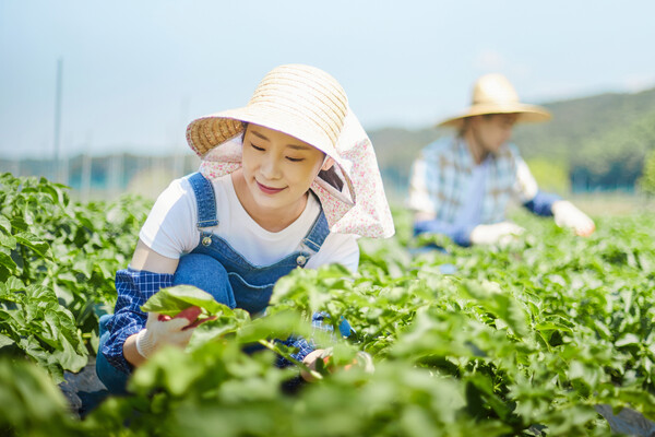 청년 귀농귀촌 희망자들에게는 농지이양 은퇴 직불제나 청년 후계농 대상자 확대, 비축 농지 공공임대, 창업형 스마트팜단지 조성, 푸드테크와 그린바이오 신산업 육성 등이 좋은 기회가 될 것으로 보인다. /게티이미지뱅크