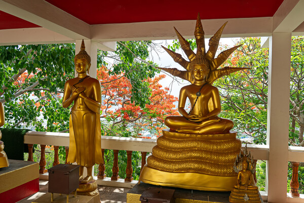 태국에는 요일에 따라 관장하는 부처가 다르다. /게티이미지뱅크