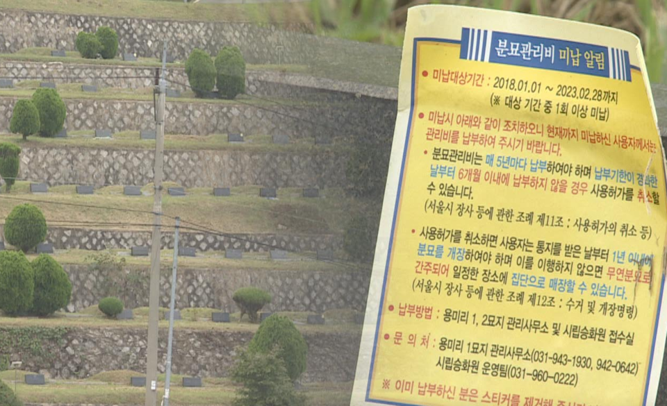 무연고 묘지 /연합뉴스