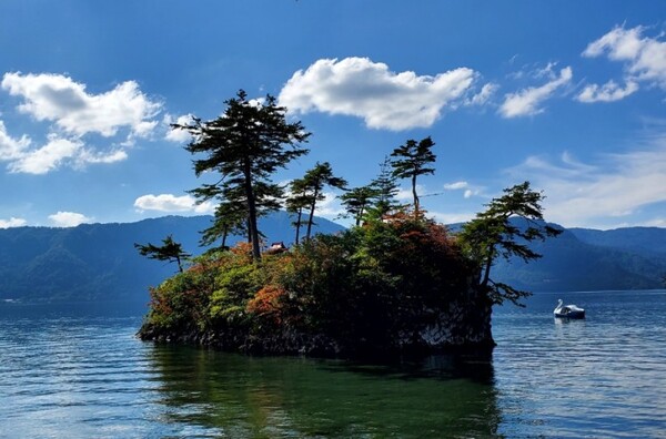 에비스·다이코쿠 섬. 약해 보이지만 강인한 적송과 일본오엽송이 자생하고 있다. /사진=양은심