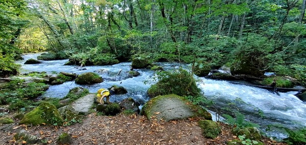 오이라세 계류. 한 여행객이 계곡물을 만져보고 있다. /사진=양은심