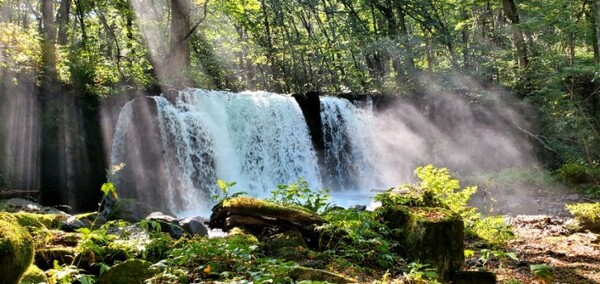 초시 큰 폭포. 울창한 나무 사이로 스며드는 햇살이 신비로운 풍경을 만들어내고 있다. /사진=양은심