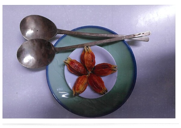 할머니가 주신 놋숟가락과 옛날접시, 치자 열매 /김옥희