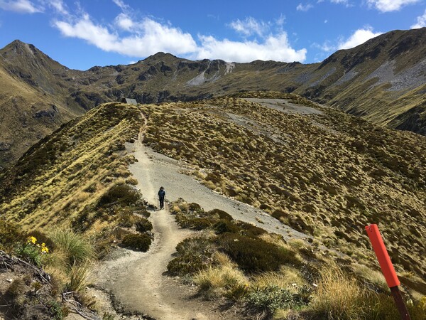 뉴질랜드 트래킹_케플러 트랙 /사진=박재희