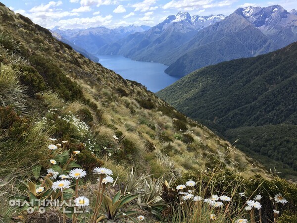 뉴질랜드 피오르드랜드의 케플러 트랙 /사진=박재희