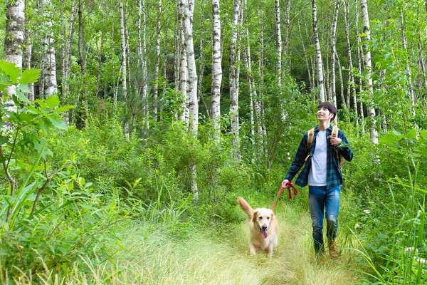 자작나무 숲을 찾은 한 관광객이 반려견과 함께 숲속을 산책하고 있다. /게티이미지뱅크
