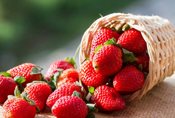 고대 로마 시대 만병통치약으로 즐겨 먹던 딸기 /https://foodal.com/knowledge/things-that-preserve/make-strawberry-season-last-all-year/