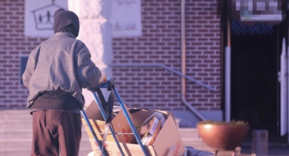 폐지를 줍고 있는 한 여성 노인. /연합뉴스