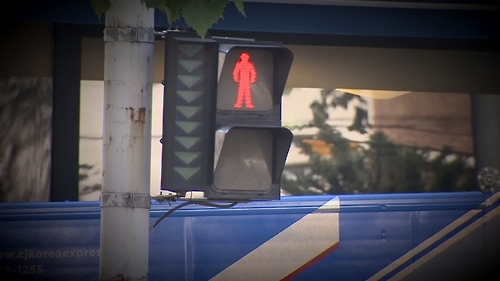 보행자 신호등에 빨간불이 들어왔다. /연합뉴스