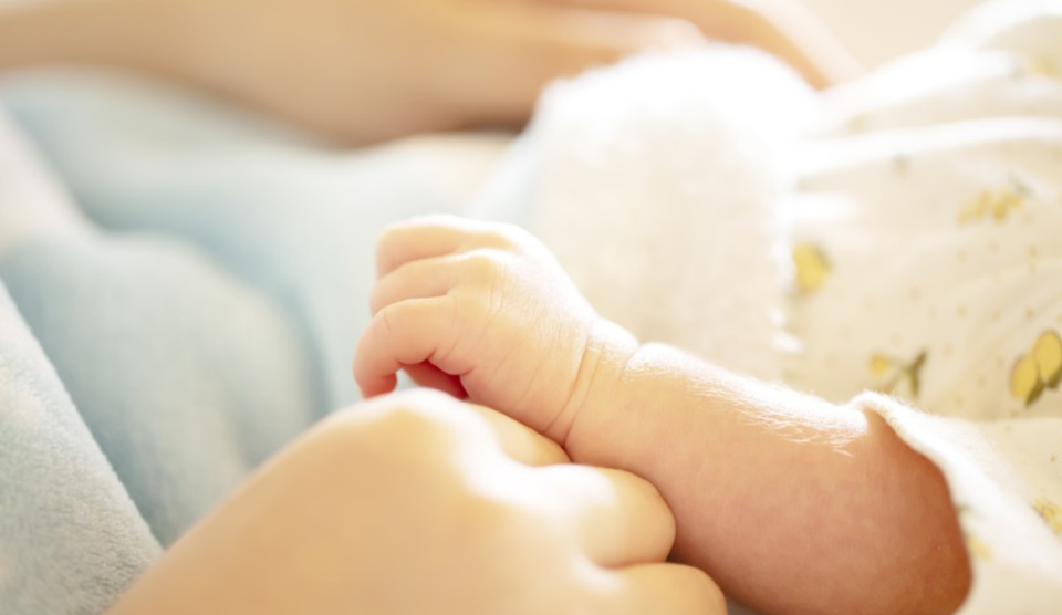 아기 손 /연합뉴스