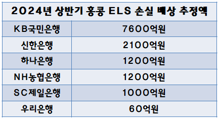 상반기만 은행권의 홍콩ELS 손실 배상 추정액은 적게는 수십억원에서 많게는 수천억원까지 이른다. /자료=윤한홍 의원실, 최주연 기자