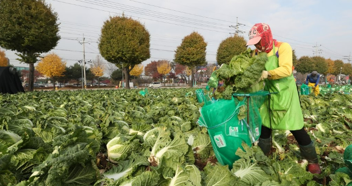 농촌 인구가 급감하며 외국인 일손 도입은 확대될 전망이다. 현행 제도상 농지에 축조된 가설건축물을 외국인 근로자의 숙소로 활용할 수 없어 개편이 필요하다. /연합뉴스