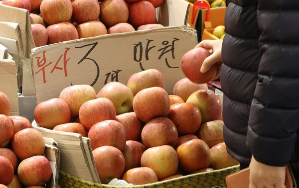 정부는 농축산물 가격 급등으로 인한 서민 부당믈 줄이기 위해 정부 할인 지원율을 늘리고 가격 안정 자금을 지속해서 투입하기로 했다. /연합뉴스