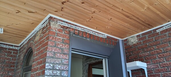 사람은 물론이고 터까지 좋은 집인가 보다. 동료까지 데려와 집성촌을 꿈꾸던 제비와 그럴 수 없다는 사람의 타협으로 한 채만 짓기로 한 듯, 어른이 새로 만들어 준 똥 받침대가 사랑스럽다. /송미옥