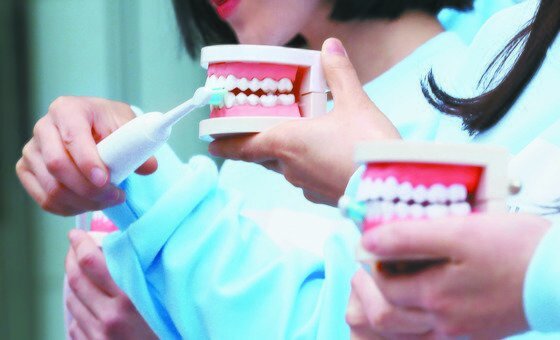 노인 삶의 질 제고는 구강건강과 깊게 연관된다. 구강건강은 노인 전신질환과 정신건강에 영향을 미치는 것으로 나타났다. 사진은 구강 모형과 전동칫솔로 올바른 양치법을 시연하는 모습 /연합뉴스