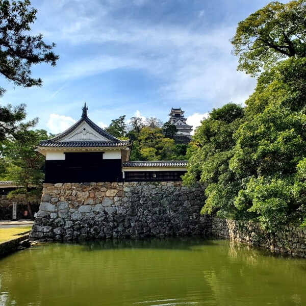 해자와 성벽의 조화는 언제 봐도 발걸음을 멈추게 한다. 저 멀리 천수각이 보인다. /사진=양은심