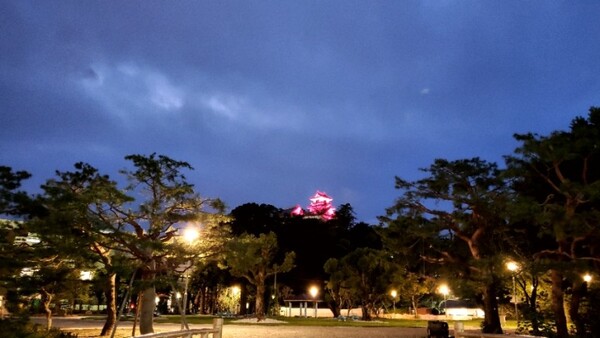 라이트업 한 고치성. 낮에 올라갔던 성이 맞나 싶을 정도로 전혀 다른 얼굴을 하고 있었다. /사진=양은심