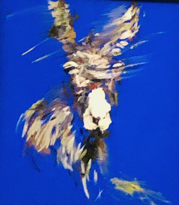 지나간 것은 지나간 것이니 과거의 나는 푸른 우주 배경 머언 추억 속으로 묻어 둔 채 새로운 길을 가야 합니다. 정말 가고 싶은 길이라면 지긋이 눈 감고 가보라고 당나귀가 말을 걸어옵니다. 내 마음속에 숨은 또 다른 미래의 당나귀를 찾아내야 하겠습니다. 박신양, '당나귀' /최익준