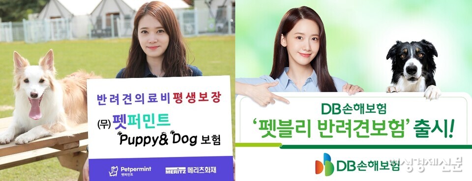 5년간 국내 펫보험 시장을 이끌던 메리츠화재를 DB손해보험이 바짝 추격하고 있다. /각사 홈페이지